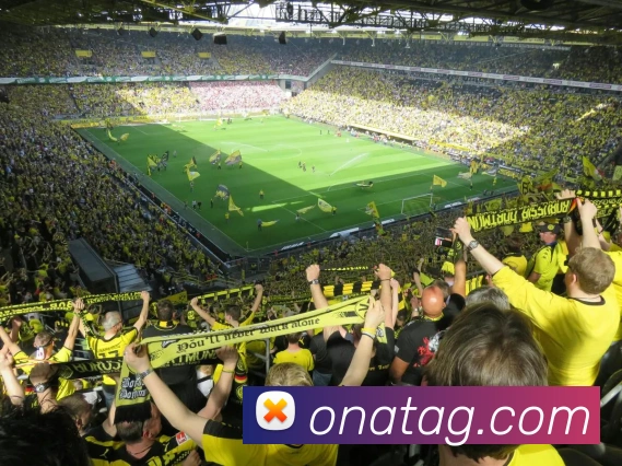 ag百家乐平台生态图